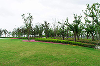 榮林環(huán)境中標西側公園北側入口綠化景觀工程